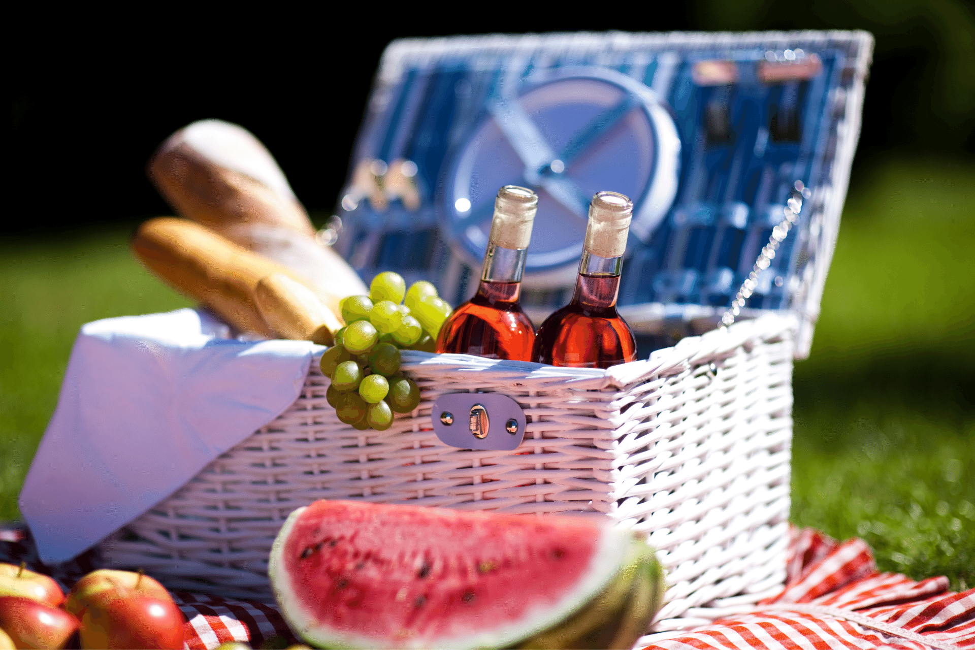 Wine and Picnic
